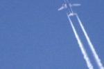jet-blau-gruener-bauch-4736