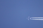 jet-blau-gruener-bauch-4737