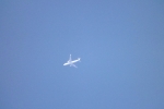 jumbo-jet-4297