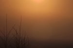 3569-sonnenaufgang-nebel-lenseflair