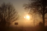 3578-nebel-morgen-sonne-baeume-ohne-blaetter