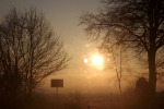 3578-nebel-morgen-sonne-baeume-ohne-blaetter