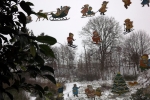 4602-winterbilder-fensterbilder-schnee