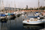 hafen-segelboote