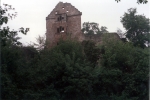 minneburg-wald2