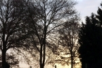 frueh-am-morgen.jpg
