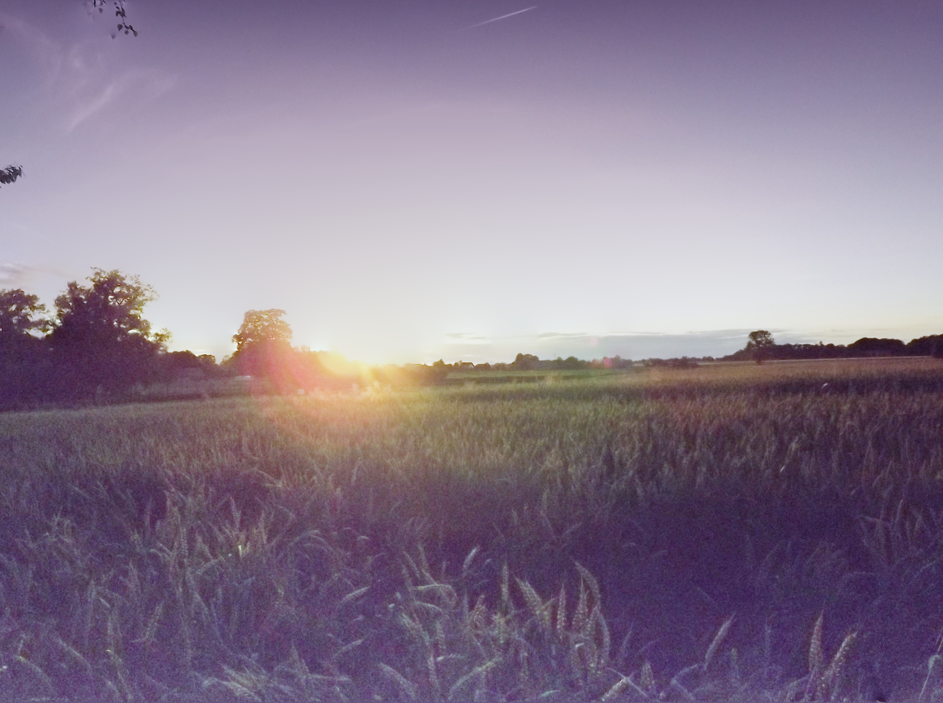kornfeld-luminance_pregamma_1_reinhard05_brightness_-1_chromatic_adaptation_0.08_light_adaptation_0.23