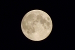 der-mond-am-nachthimmel