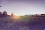 kornfeld-luminance_pregamma_1_reinhard05_brightness_-1_chromatic_adaptation_0.08_light_adaptation_0.23