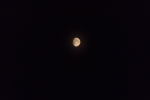 mond-1