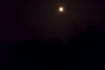 mond-baeume