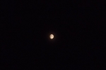 mond-klein