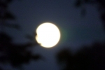 mond-nacht