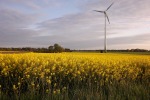 9953-landschaft-raps-windrad