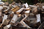 8014-holz-brennholz-scheite