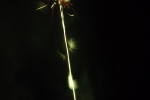 8333-schuss-gruen-explosion