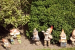 gartenzwerge gartenzwerge