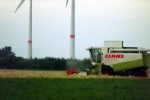 weizen-ernte