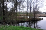 baume-see-spiegelung