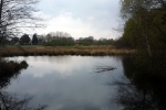 see-blick