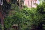 sule-muehlteich