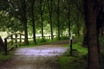 weg-muehlteich