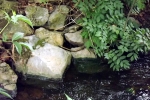 bachlauf-sulingen