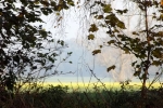 6601-ausblick-aus-dem-wald
