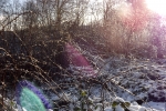 5766-schnee-natur-lensflare