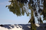 5768-schnee-hang-tanne-hintergrund-rahmen