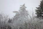 5825-vereiste-landschaft