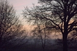 8407-baeume-morgenhimmel-morgenroete-sonnenaufgang