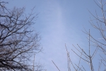 8419-frost-winter-himmel-baeume