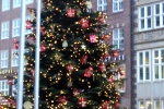 152937-weihnachtsmarkt-tannenbaum