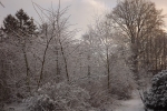 6885-verschneite-landschaft-morgenlicht