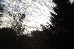 6484-baeume-gegenlicht-wolken-himmel