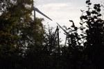 6505-baeume-windraeder 6505-baeume-windraeder