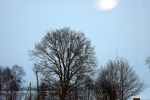 frostig-spiegelung-ufo-4604