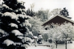 schnee-winter schnee-winter