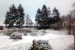 schnee-lichtung