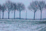 feld-schnee-baume-windrader