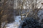 5723-frost-und-eis