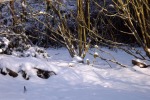 5739-schneeverwehungen