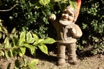 5424-gartenzwerg