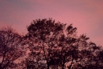 DSCF7959