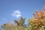 DSCF7976